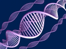 DNA Strand as Storage device